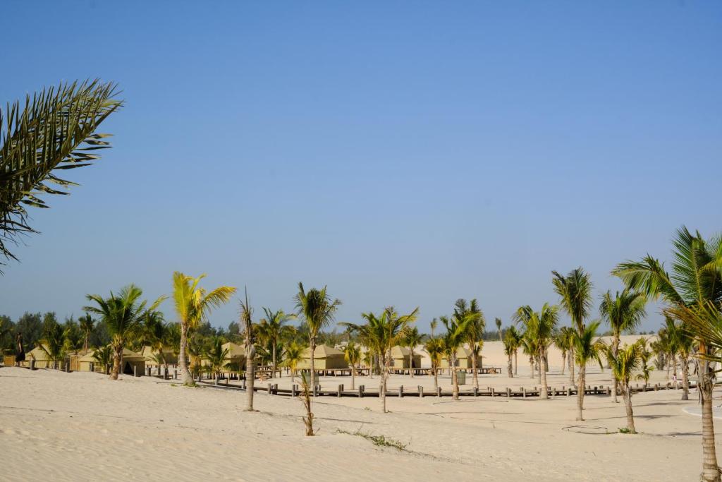 OKAÏ Oasis Desert