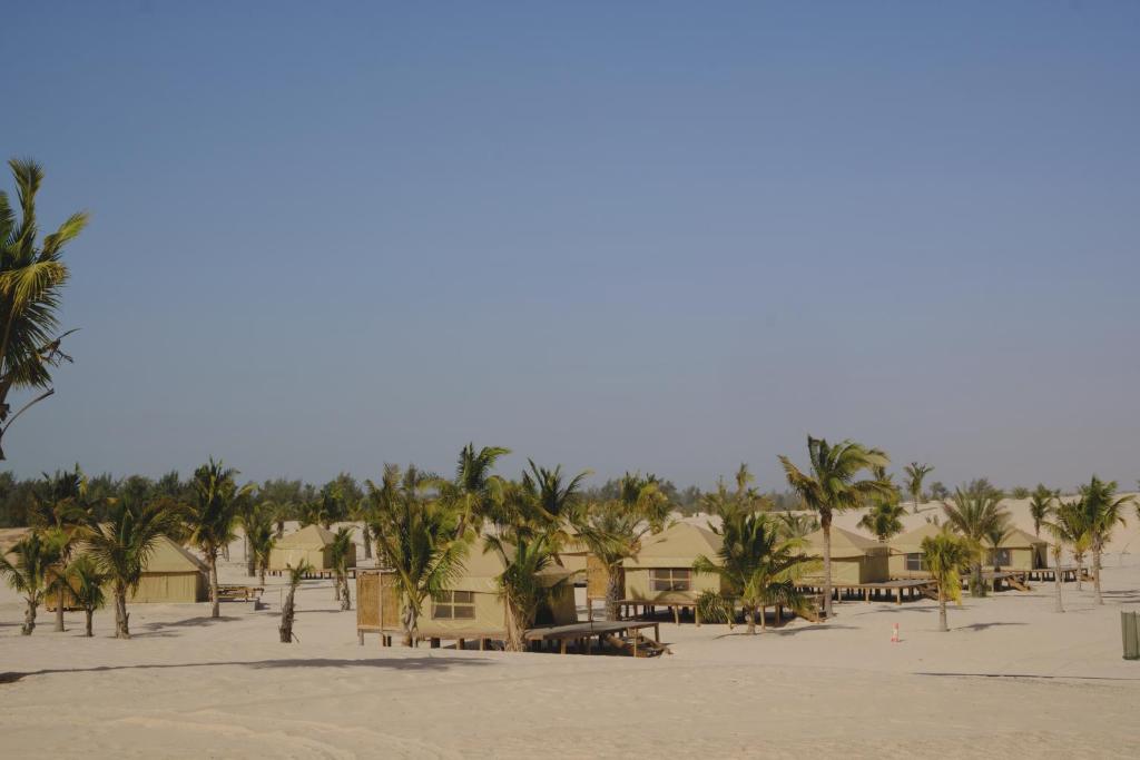 OKAÏ Oasis Desert