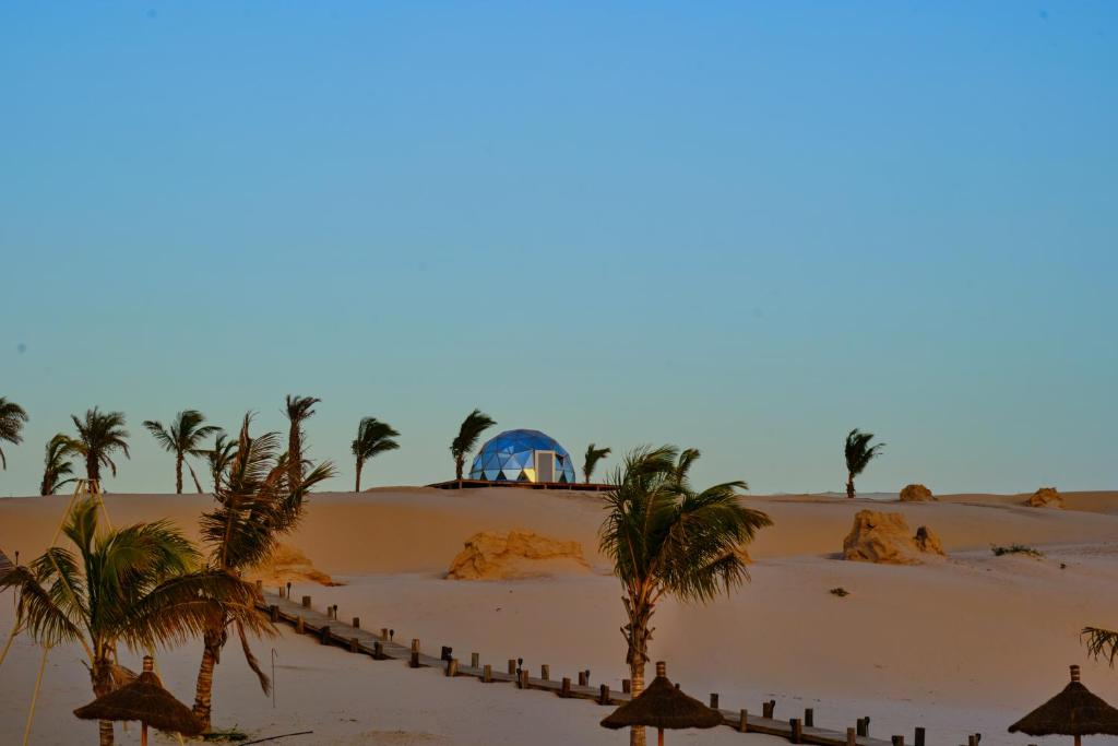OKAÏ Oasis Desert