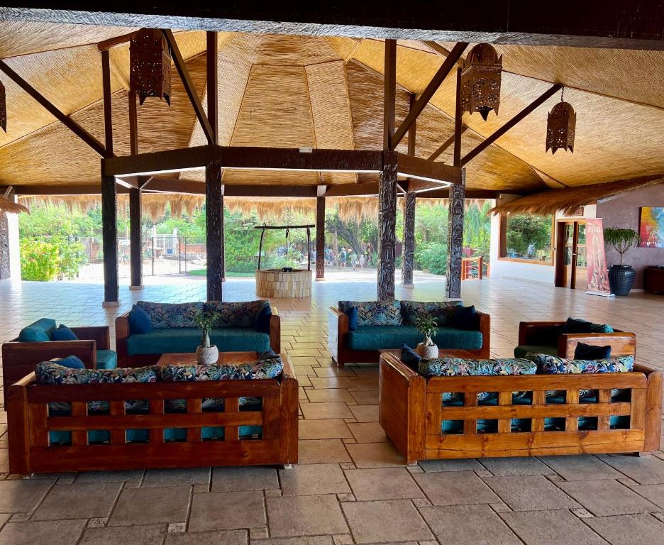 Royal Horizon Baobab