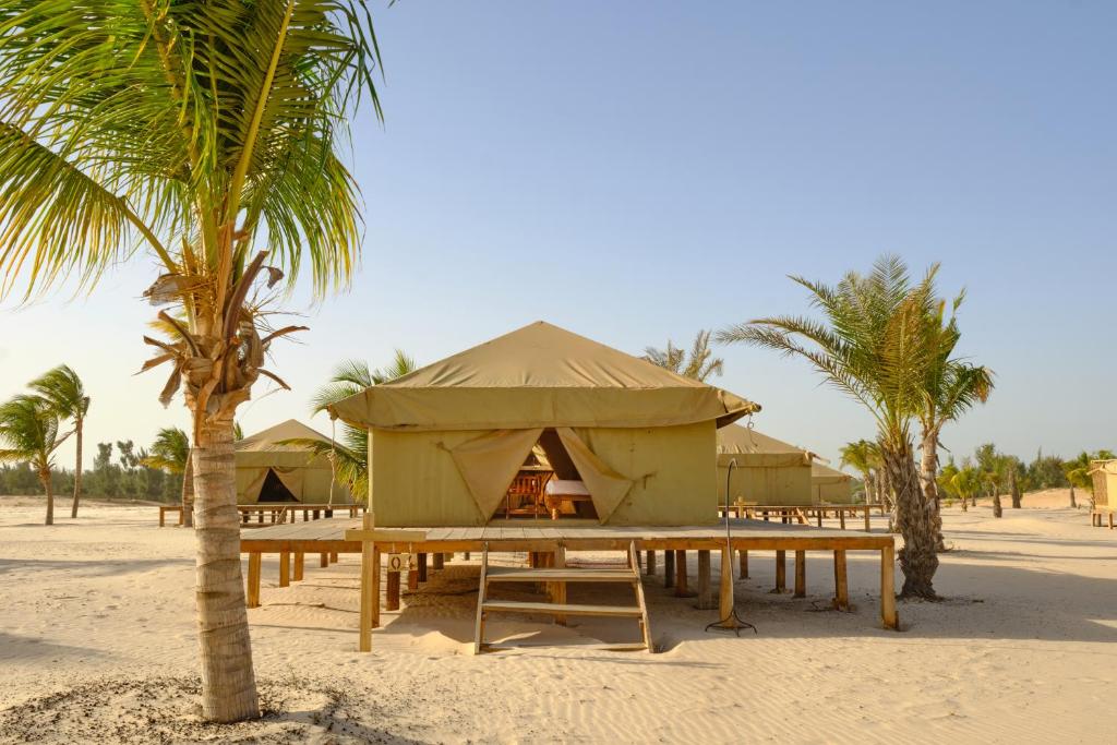 OKAÏ Oasis Desert