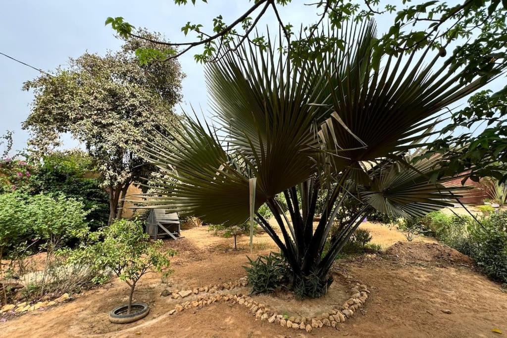 Kayzen house